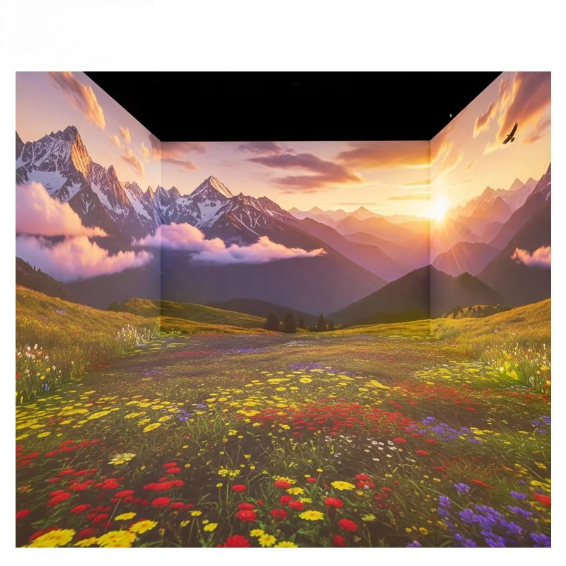 OEM&ODM Immersive Projector La - đánh giá và giá Gymnastics Beam Floor