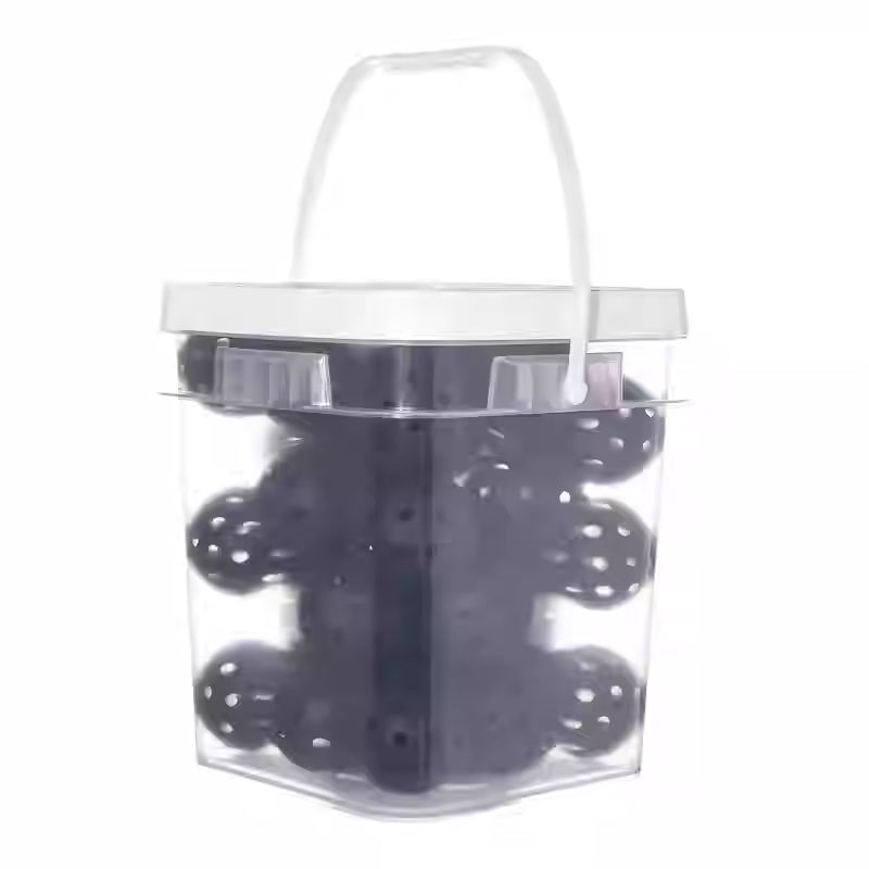 40 Holes Pickleball Set 36PCS  - đánh giá và giá Sports Equipment Set